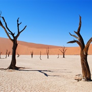 Namibian Desert