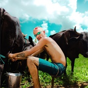 Oreia - Gangsta Da Roça