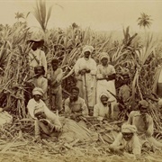 Jamaican History