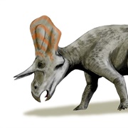 Zuniceratops