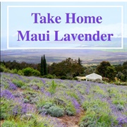 Ali'i Kula Lavender Farm