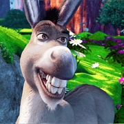 Donkey
