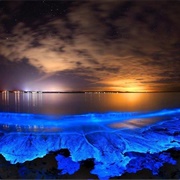 Bioluminescent Beaches, Maldives