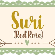 Suri