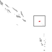 Nendo Tube-Nosed Bat