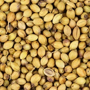 Coriander Seeds