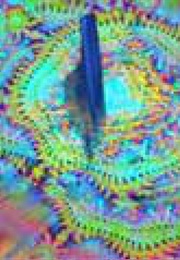 Unless the Eye Catch Fire (2000)