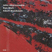 John Abercrombie, Dan Wall & Adam Nussbaum: ‎While We're Young