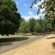 Been to Itchycoo Park (It's All Too Beautiful)