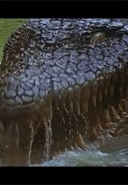 Crocodile (1989)