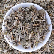 Horehound Tea