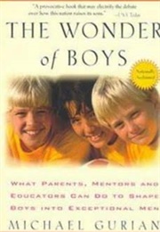 The Wonder of Boys (Michael Gurian)