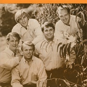 Wouldn't It Be Nice - The Beach Boys