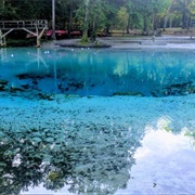 Ruth B. Kirby Gilchrist Blue Springs State Park