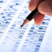 1984: DNA Fingerprinting