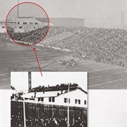 Thanksgiving Day Disaster