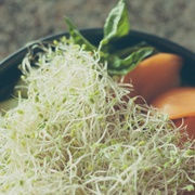 Tomato Salad With Sprouts