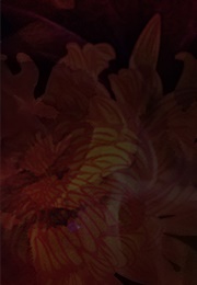 Blood Orange (Karina Halle)