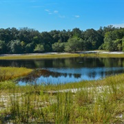 Indian Lake State Forest