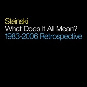 Steinski - What Does It All Mean? 1983-2006 Retrospective