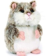 Mazin' Hamster Willow