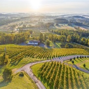 Mount Weather, Bluemont, Virginia