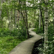 Creamer's Field Migratory Waterfowl Refuge