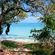 Lignumvitae Key Botanical State Park
