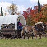 Covered Wagon Ride