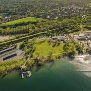 Shadow Cliffs Regional Recreation Area