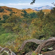 Huckleberry Botanic Regional Preserve
