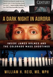 A Dark Night in Aurora (William H. Reid)