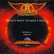 Aerosmith - I Don't Want to Miss a Thing (1998)