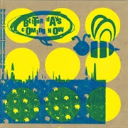 The Sisterhood of Convoluted Thinkers