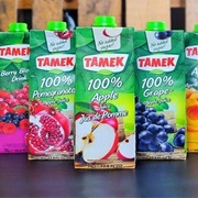 Tamek