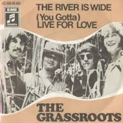 The River Is Wide - The Grass Roots