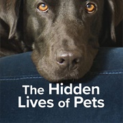 The Hidden Lives of Pets