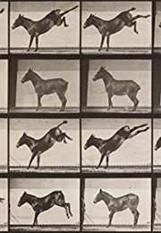 Mule Kicking (1887) (1890)