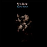 Syndone - Kama Sutra