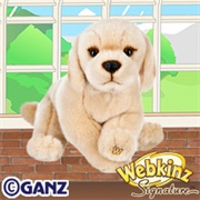 Signature Yellow Labrador Retriever