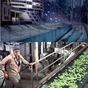 Soylent Industries (Soylent Green)