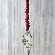 Woodland Strawberries on a Straw