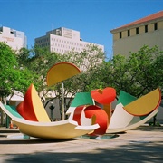 Dropped Bowl With Scattered Slices and Peels (Miami, FL)