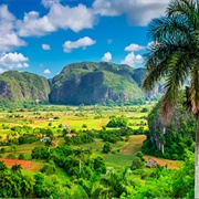 Viñales
