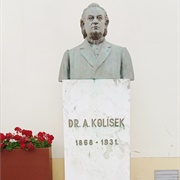 Busta Dr. Aloisa Kolíska