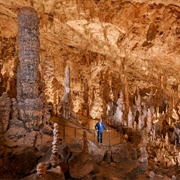 Slovenia - Postojna Cave