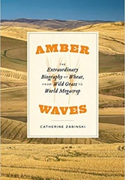 Amber Waves (Catherine Zabinski)