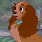 Lady (Lady and the Tramp)