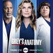 Grey's Anatomy Season 18