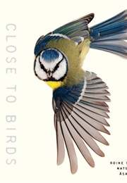 Close to Birds (Mats Ottosson)